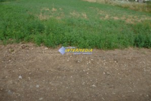 teren-intravilan-de-vanzare-1000mp-alba-micesti
